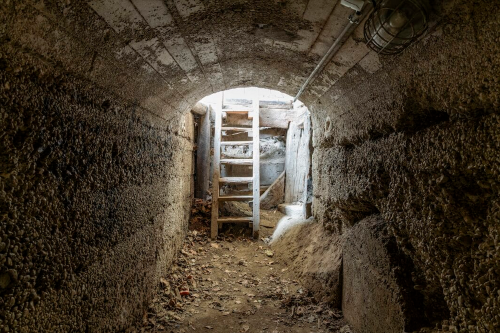 ‘Zwangsarbeit/en – Work Force/d’ Residencies in Visual Art and Art in Public Space